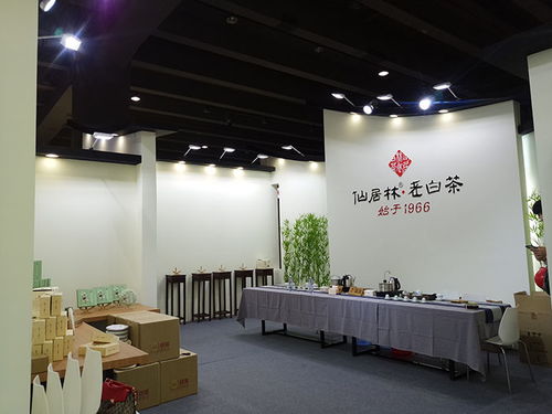圓桌國際展覽設計公司 一站式專業服務，賦能展會品牌價值